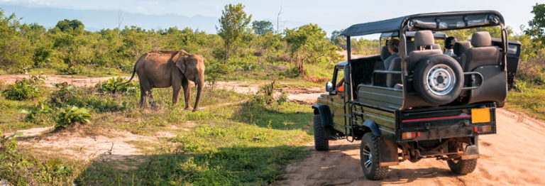 organiser un voyage en tanzanie